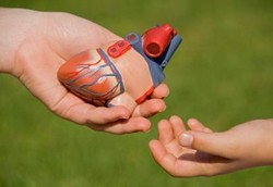 Wanita Ini Rela Jual Semua Organ Tubuhnya Demi Sewa Apartemen