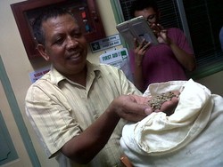 Suku Amungme, Menanam Kopi Memetik Uang