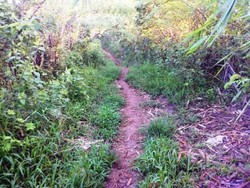 Meninggalkan Jejak di Air Terjun Samparona