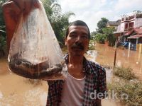 Banjir Ulujami, Warga Jala Ikan di Depan Rumah