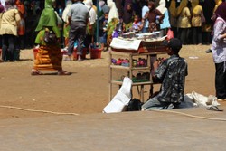 Penjual Ayam Hias Buatan