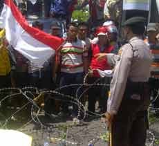 Disnak: Yang Boleh Keluar Hanya Sapi Dengan Berat Lebih 400 Kg