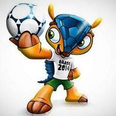 Fuleco, Nama Maskot Piala Dunia Brasil 2014