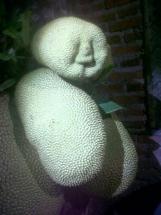 Disebut Mirip Wajah Manusia, Buah Nangka Ini Bikin Heboh Warga