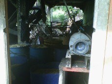 Ledakan Keras Terjadi di Pabrik Tahu di Jaksel, 3 Orang Terluka