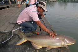 Mancing Ikan Sebesar Anjing!