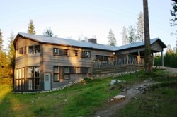 Uji Adrenalin! Dikepung Serigala dan Beruang di Tempat Ini