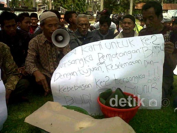 Warga Minta Pemotong Pohon Bambu Dibebaskan