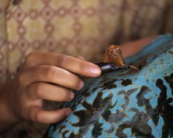 Mengenal Batik Lebih Dalam dengan Segala Kisahnya