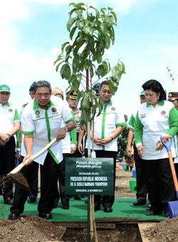 SBY: Awalnya Banyak yang Pesimis, Kini 1 Miliar Pohon Hampir Tercapai