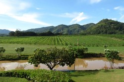 Thailand Punya PR Sebelum Bawa Turis Indonesia ke Khao Yai