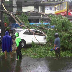 Bruk, Pohon Tumbang Timpa Rumah dan Mobil di Sukajadi
