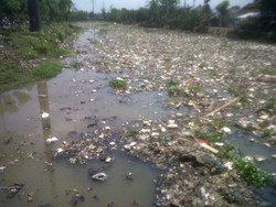 Instruksi Jokowi untuk Pembersihan Kali di Jakbar Belum Terwujud