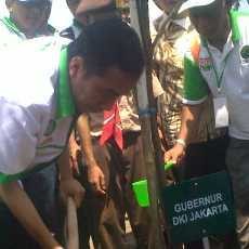 5 Aksi Jokowi Buat Jakarta Hijau Royo-royo