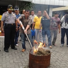 Polres Jakarta Pusat Musnahkan Narkoba Senilai Rp 5 M