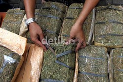 Warga Berebutan Masuk ke TKP Gudang Narkoba di Kalideres