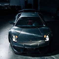 Banteng Ini Bikin Semua Mata Memandang