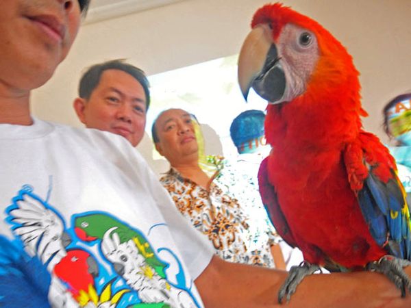 IPPAE Gelaran Para Pecinta Hewan