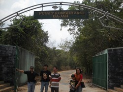 GAJAH-GAJAH DI WAY KAMBAS LAMPUNG