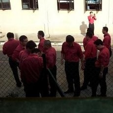 Terlibat Mogok Kerja Ilegal di Singapura, 29 Sopir Bus China Dideportasi