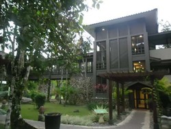 Dekat dengan Alam di Hotel Rimba Papua