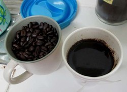 Slurpp... Nikmatnya Kopi dari Amungme, Papua