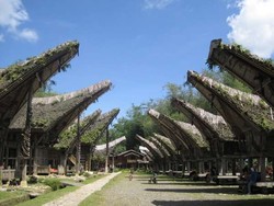 Rumah Adat dan Kuburan Batu, Asli dari Tana Toraja