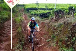 Ekstrem! Turun dari Gunung Slamet dengan Sepeda