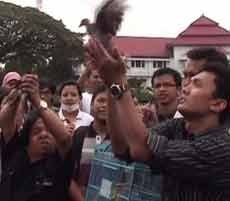 Penyandang Cacat Aksi Simpatik Lepas 1.000 Burung