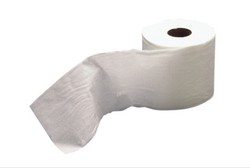 Ketika Tisu Toilet Nangkring di Meja Makan