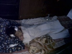 Pencarian Bocah Terseret Arus Selokan di Semarang Dilanjut Besok