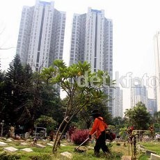 Pemakaman Gratis, Pemprov DKI akan Gelar Penyuluhan dan Pasang Stiker