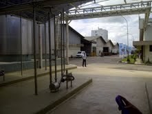 Wow! Susu Ultrajaya Menembus Pasar Afrika dan Timur Tengah