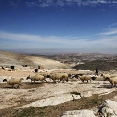 Meski Dikecam Internasional, Israel Ngotot Untuk Bangun Ribuan Pemukiman Yahudi