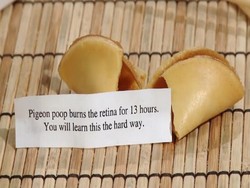 Wah, Ada Ejekan di Dalam Unfortunate Fortune Cookies Ini!