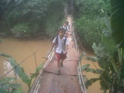 Jokowi akan Tinjau Jembatan Mengenaskan di Srengseng Sawah Jumat