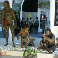 Temuan Museum Sangiran Banyak yang Hilang dan Tak Terdeteksi