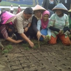 Kunjungi Stadion Gedebage, Dede Yusuf Sempat Ikut Tanam Rumput