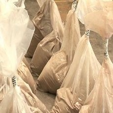 Wow! Polisi Australia Sita Kokain Senilai Rp 776 Miliar