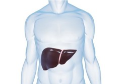 Hepatitis Toksik, Peradangan Hati Karena Paparan Racun Kimiawi Tertentu