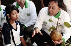 Dukung Jokowi, Menhut: Ruang Terbuka Hijau Efektif Cegah Polusi