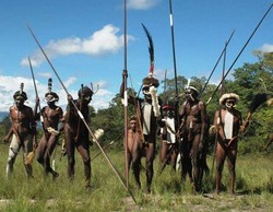 Ssst, Suku Dani di Obia Juga Jago Wirausaha!