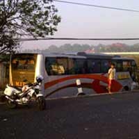 Bus Mira Nyungsep di Persawahan, Penumpang Semburat