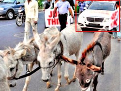 6 Keledai Tarik Mercy E-Class