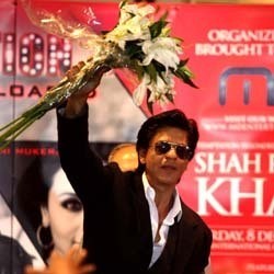 3 Jam Berjoget di Sentul Bareng Shahrukh Khan