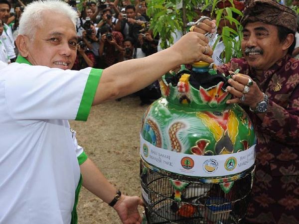 Hatta Rajasa Tanam Pohon di Bali