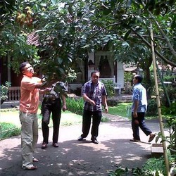 Asyik! Andi Mallarangeng Panen Rambutan