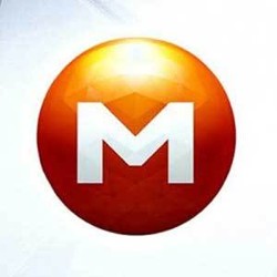 Situs Pengganti Megaupload Sudah Online