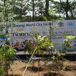 Pertama Dalam Sejarah DKI, Anggaran RTH Rp 1,05 T