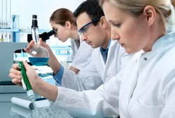 Simsalabim! Ilmuwan Berhasil Mengubah Air Seni Menjadi Sel Otak